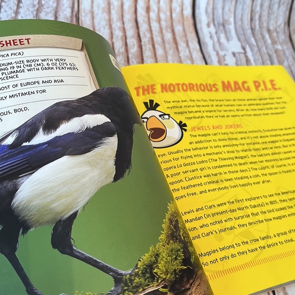 National Geographic: Angry Birds - Picture 4 of 8